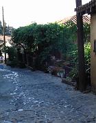 DSC02943 - Troodos Kakopetria